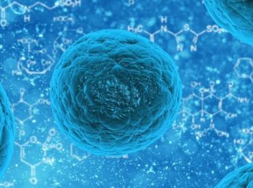 WhatsApp Image 2021-10-11 at 12.40.46